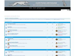 Everything Greyhound